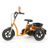 Tricycle Safari pour enfant handicapé – Image 2